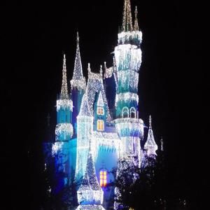 Meet your Posher, Trisha